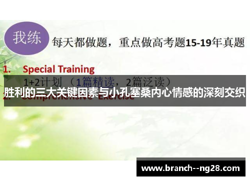 胜利的三大关键因素与小孔塞桑内心情感的深刻交织