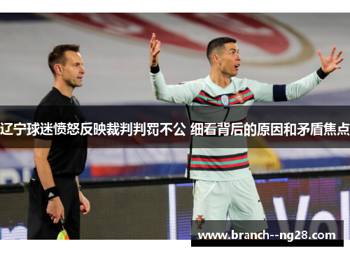 辽宁球迷愤怒反映裁判判罚不公 细看背后的原因和矛盾焦点