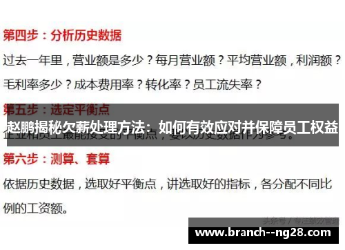 赵鹏揭秘欠薪处理方法：如何有效应对并保障员工权益