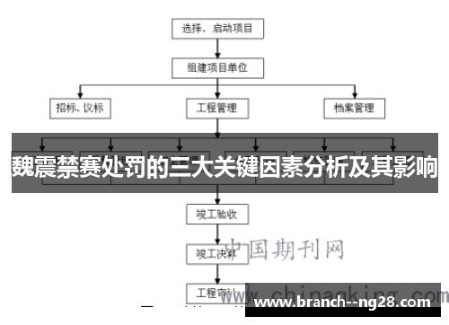 魏震禁赛处罚的三大关键因素分析及其影响